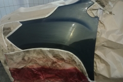PINTURA - GUARDAFANGO