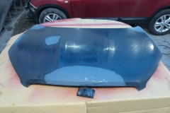 Pintado capot