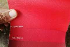IMG-20201116-WA0062
