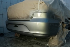 Pintado