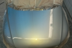 Pintado