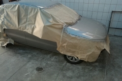 Pintado